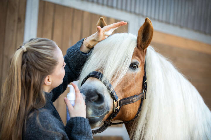 ZEDAN Natürlicher Mähnenschaum 200ml